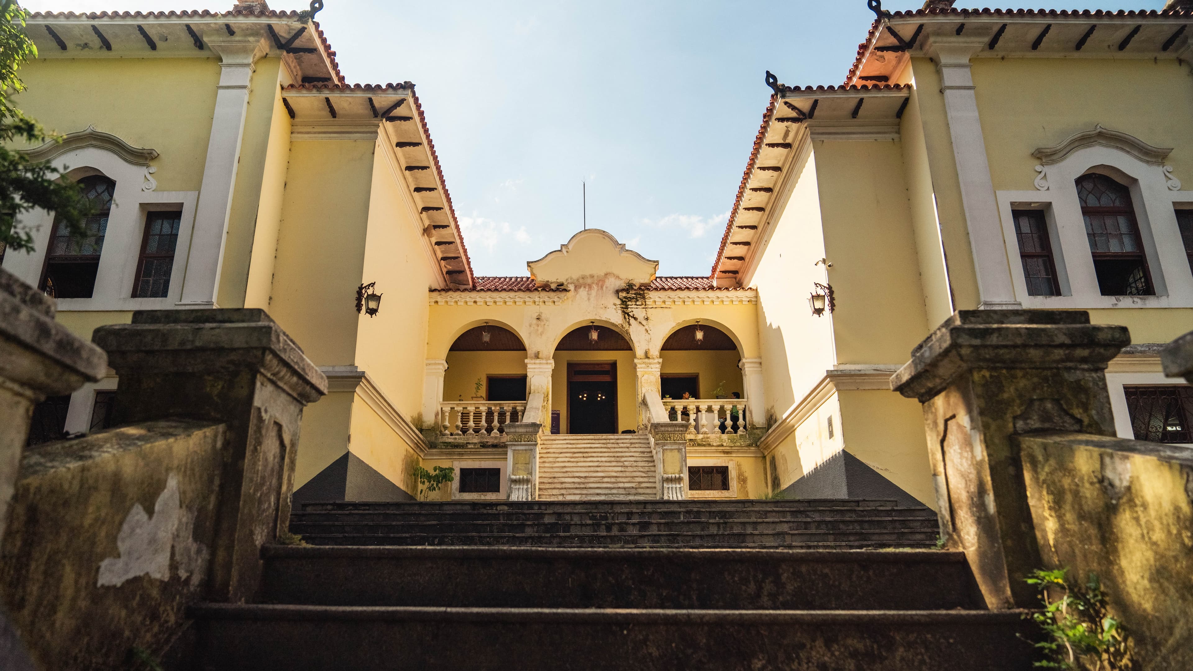 Conheça o Museu Florestal durante o Tour Guiado