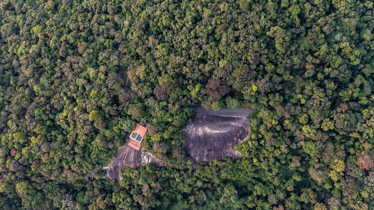 Urbia divulga agenda cultural da semana e traz Busão das Artes no Parque Ibirapuera e tour 3 Parques em 1 Dia com Ibiratour e atividades no Horto Florestal e Cantareira 