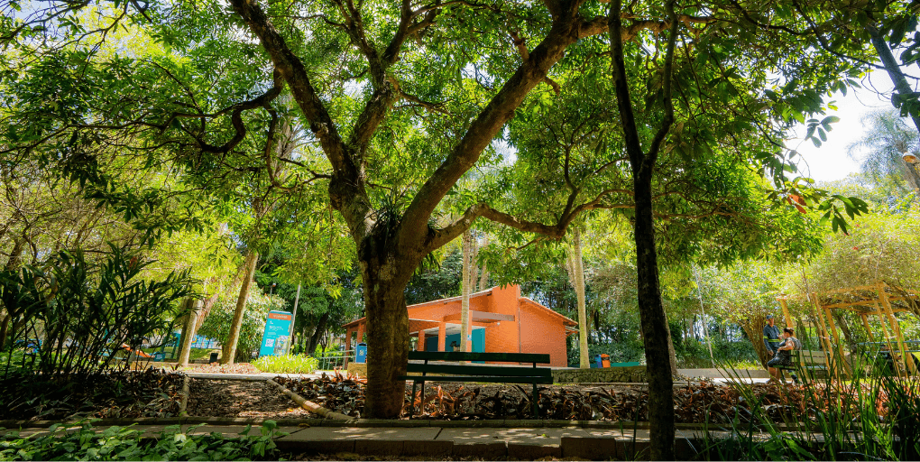 Dia da Amazônia é homenageado com programação gratuita e rica em biodiversidade em parques da cidade de São Paulo